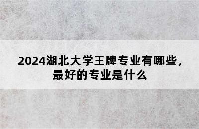 2024湖北大学王牌专业有哪些，最好的专业是什么