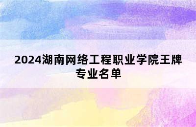 2024湖南网络工程职业学院王牌专业名单