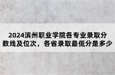 2024滨州职业学院各专业录取分数线及位次，各省录取最低分是多少