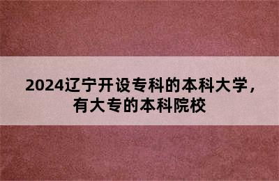 2024辽宁开设专科的本科大学，有大专的本科院校