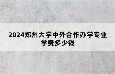 2024郑州大学中外合作办学专业学费多少钱