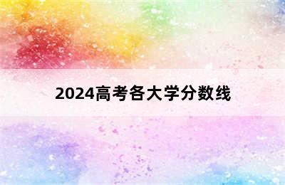 2024高考各大学分数线