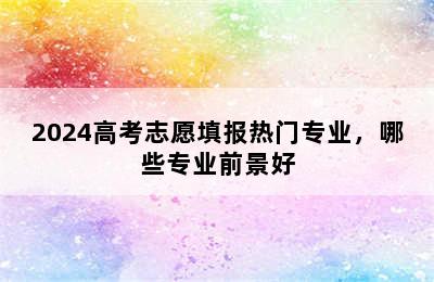 2024高考志愿填报热门专业，哪些专业前景好