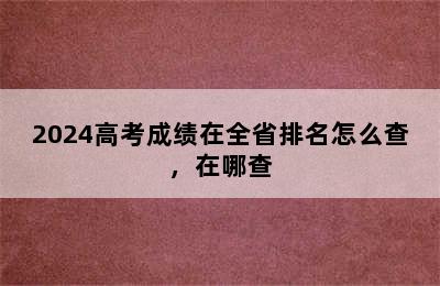 2024高考成绩在全省排名怎么查，在哪查