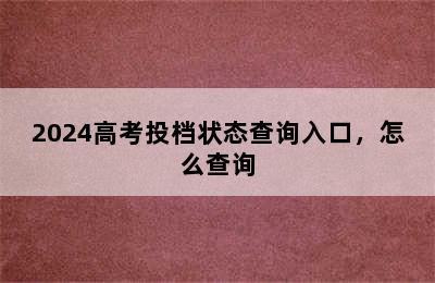 2024高考投档状态查询入口，怎么查询