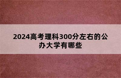 2024高考理科300分左右的公办大学有哪些