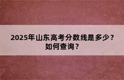 2025年山东高考分数线是多少？如何查询？