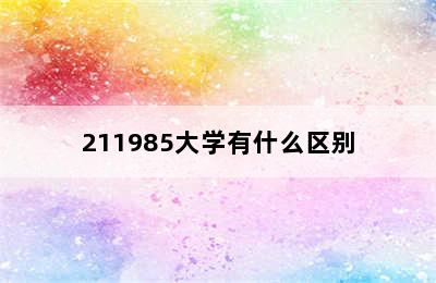 211985大学有什么区别