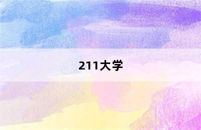 211大学