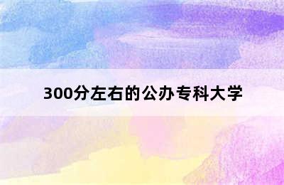 300分左右的公办专科大学