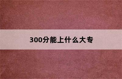 300分能上什么大专