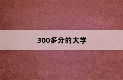 300多分的大学