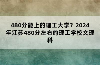 480分能上的理工大学？2024年江苏480分左右的理工学校文理科