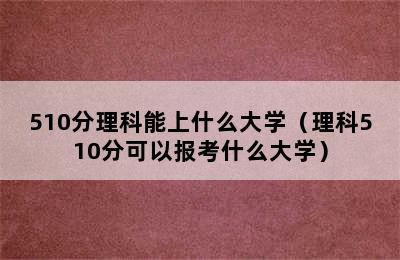 510分理科能上什么大学（理科510分可以报考什么大学）