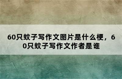 60只蚊子写作文图片是什么梗，60只蚊子写作文作者是谁