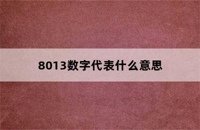 8013数字代表什么意思