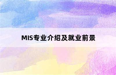 MIS专业介绍及就业前景