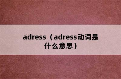 adress（adress动词是什么意思）