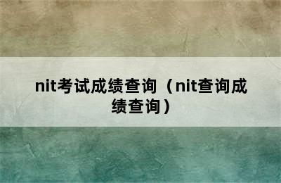 nit考试成绩查询（nit查询成绩查询）