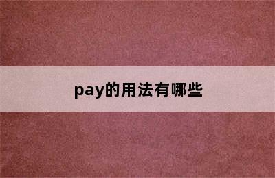 pay的用法有哪些