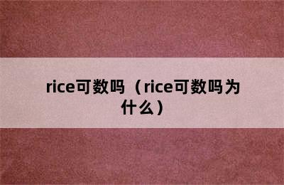 rice可数吗（rice可数吗为什么）