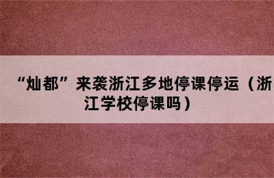 “灿都”来袭浙江多地停课停运（浙江学校停课吗）