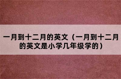 一月到十二月的英文（一月到十二月的英文是小学几年级学的）