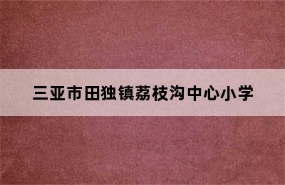 三亚市田独镇荔枝沟中心小学