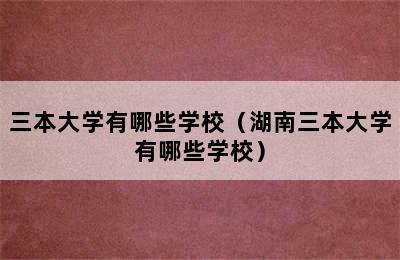 三本大学有哪些学校（湖南三本大学有哪些学校）