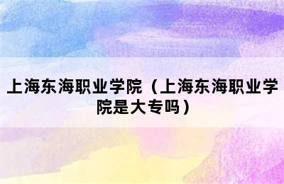 上海东海职业学院（上海东海职业学院是大专吗）