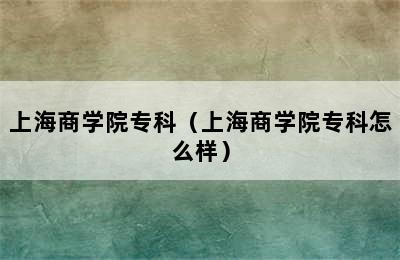 上海商学院专科（上海商学院专科怎么样）