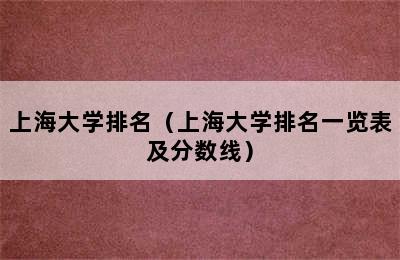 上海大学排名（上海大学排名一览表及分数线）