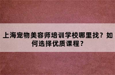 上海宠物美容师培训学校哪里找？如何选择优质课程？