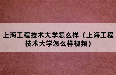 上海工程技术大学怎么样（上海工程技术大学怎么样视频）