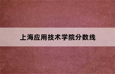 上海应用技术学院分数线