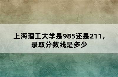 上海理工大学是985还是211，录取分数线是多少