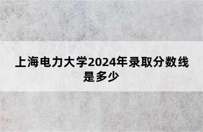 上海电力大学2024年录取分数线是多少