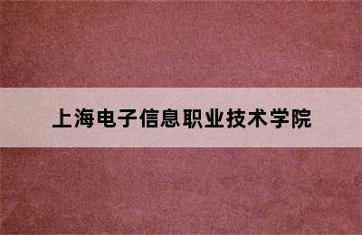 上海电子信息职业技术学院