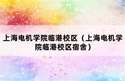 上海电机学院临港校区（上海电机学院临港校区宿舍）