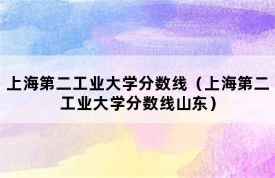 上海第二工业大学分数线（上海第二工业大学分数线山东）