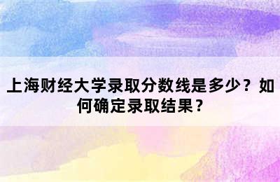 上海财经大学录取分数线是多少？如何确定录取结果？