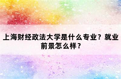 上海财经政法大学是什么专业？就业前景怎么样？