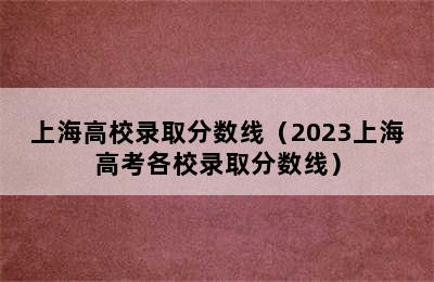 上海高校录取分数线（2023上海高考各校录取分数线）