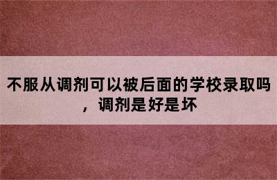 不服从调剂可以被后面的学校录取吗，调剂是好是坏