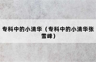 专科中的小清华（专科中的小清华张雪峰）