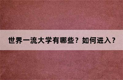 世界一流大学有哪些？如何进入？