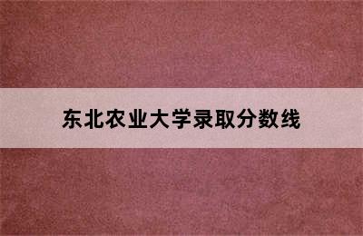 东北农业大学录取分数线