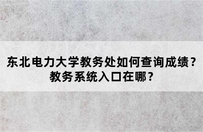 东北电力大学教务处如何查询成绩？教务系统入口在哪？