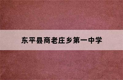 东平县商老庄乡第一中学