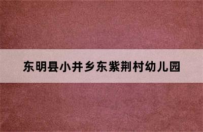 东明县小井乡东紫荆村幼儿园